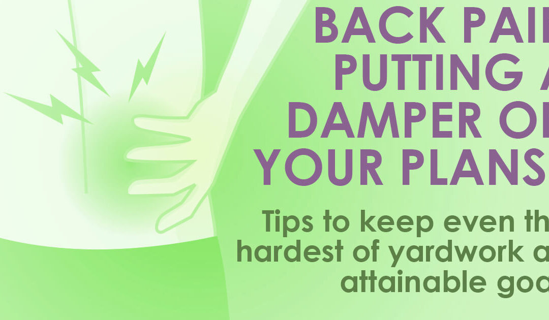 Back pain putting a damper on your weekends? On-Point Can Help.